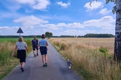 Wanderung durchs Becklinget Moor