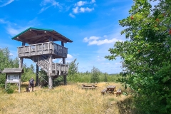 Aussichtsturm im Becklinger Moor