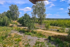 Schöner Ausblick ins Becklinger Moor