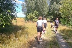 Wanderung durchs Becklinger Moor