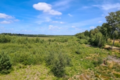 Schöner Ausblick ins Becklinger Moor