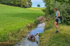 Wanderung durch die Almen in Lechbruck am See