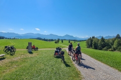 Alpenblick am Foggensee