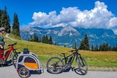 Bergdoktor E-Bike-Tour in Söll über die Tanzbodenalm nach Ellmau und Scheffau zurück