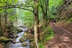 Wandern in Ilsenburg auf dem Heinrich-Heine-Weg