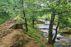 Wandern in Ilsenburg auf dem Heinrich-Heine-Weg