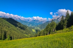 MTB-Tour mit Happy zur Bischlingshöhe hoch