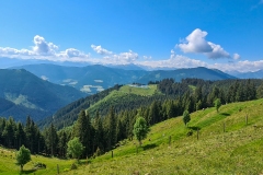 MTB-Tour mit Happy zur Bischlingshöhe hoch