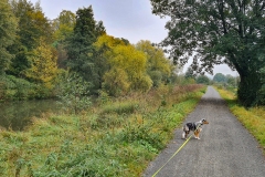 Spaziergang an der Innerste in Hildesheim zur Marienburg