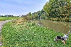 Spaziergang an der Innerste in Hildesheim