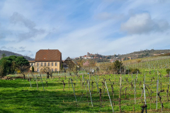 bei Bad Dürkheim in der Pfalz