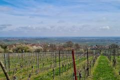 bei Bad Dürkheim in der Pfalz