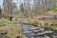 Kleine Wanderung im Harz bei Ilsenburg