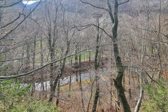 Kleine Wanderung im Harz bei Ilsenburg