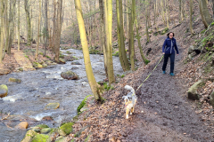 Kleine Wanderung im Harz bei Ilsenburg