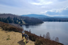 Radtour im Harz zum Ekerstausee