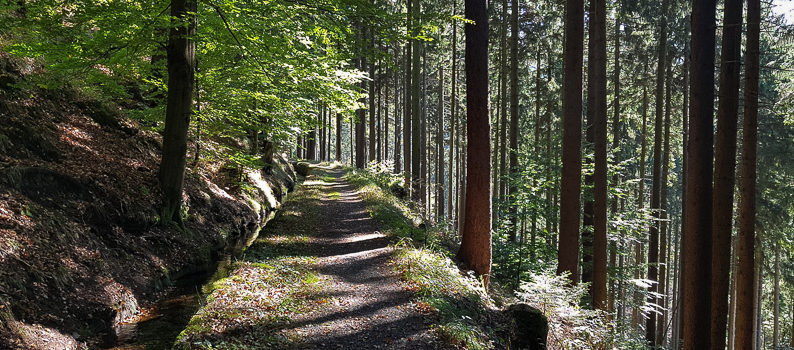 Reise: Altenau im Harz