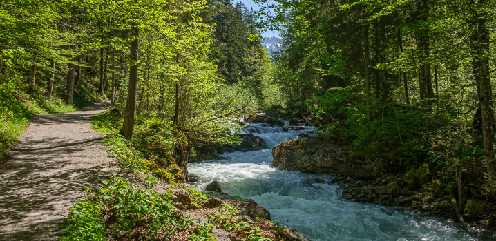 Reise: Sommer-Rundreise 1 – Alllgäu & Hessen